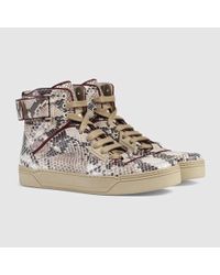 gucci python high tops