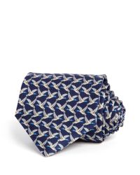 Ferragamo | Blue Duck Classic Tie for Men | Lyst