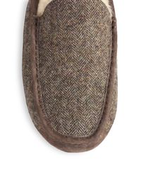 ugg ascot tweed