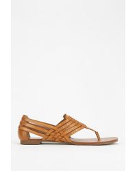 vita dolce sandal thong dv dune brown browse stores