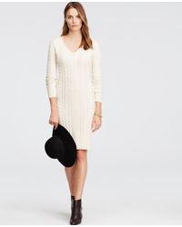 ann taylor sweater dresses