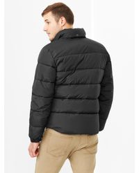 primaloft luxe