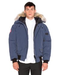 Canada Goose Cotton Chilliwack Coyote Fur Trim Bomber in Blue for Men - Lyst