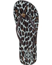tory burch leopard flip flops