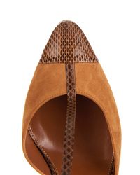 Sergio Rossi Brown Snakeskin And Suede Pumps