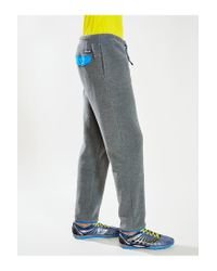 synchilla patagonia pant gray snap