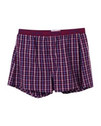 Calvin Klein Purple Boxer for men
