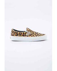leopard print vans trainers