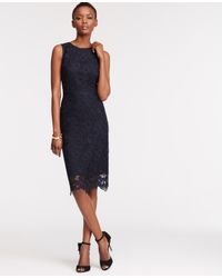 navy blue lace sheath dress
