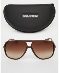 dolce and gabbana brown sunglasses