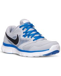 flex experience run 3