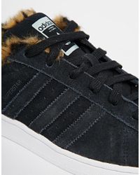 superstar fur