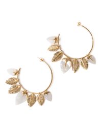 Aurelie Bidermann | Metallic Taltha Hoop Earrings | Lyst