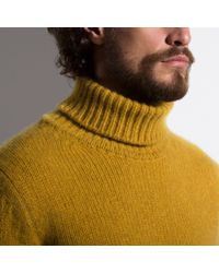 Mens Mustard Roll Neck Jumper Flash 