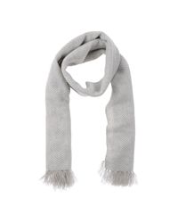 Malo Gray Oblong Scarf