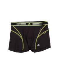 adidas climacool trunks