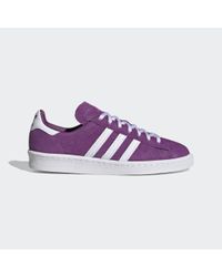 adidas campus moradas