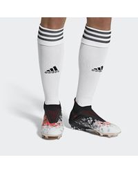 telstar predators