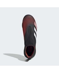 Adidas Predator 20 Pro 2020 2021 Erfahrungen Shop link
