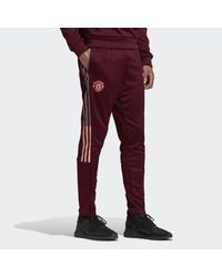 adidas Manchester United Travel Tracksuit Bottoms in Burgundy (Red) for Men  - Lyst