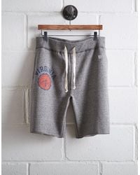 Tailgate Gray Men's Uva Cavaliers Cut-off Fleece Short for men
