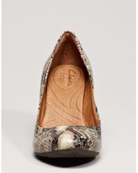 indigo by clarks purity snow