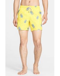 mens pineapple swimsuit
