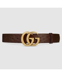 Gucci ostrich belt Clearance