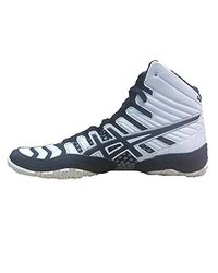 dan gable ultimate 4