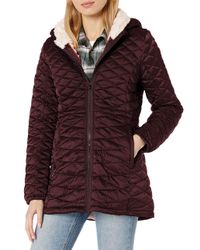 steve madden jackets uk