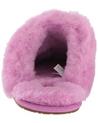 ugg scuffette bodacious