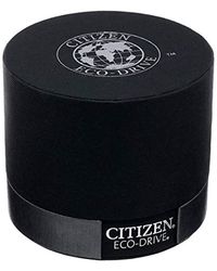 citizen wr100 titanium
