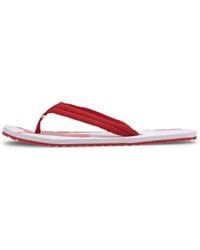 puma webster red flip flops