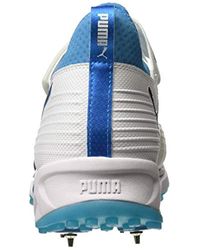 puma evospeed 19.1