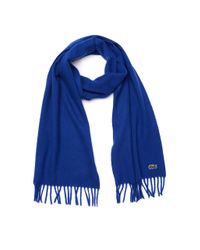 Echarpe LACOSTE bleu vendu par Fredshaved - 5567145