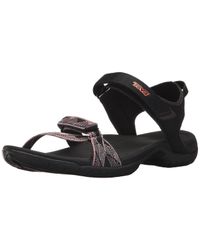 teva verra black