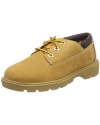 chaussure timberland basse