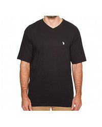 us polo assn big and tall t shirts