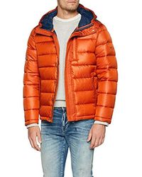 Pepe jeans plumas hombre Outlet