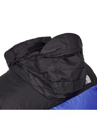 The North Face Nuptse Jacket Royal Blue For Men Lyst