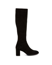 aquatalia high and dry boots