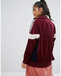 sabit vitamin çıkarmak adidas originals velour track jacket in burgundy -  folentadesign.com