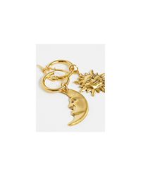 regal rose sun and moon
