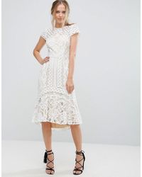 coast dee dee lace dress