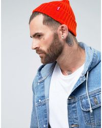 levi's ribbed beanie black