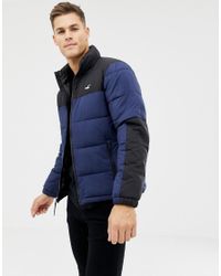 hollister men jacket