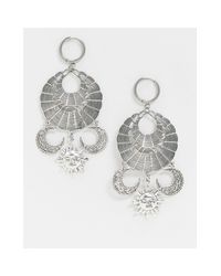 regal rose sun and moon