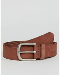 hollister mens belts