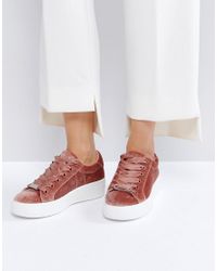 Steve Madden Bertie Blush Velvet 