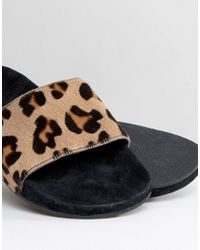 leopard adidas slides